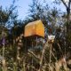 15. Liliana Stafford - 'Home and Garden'